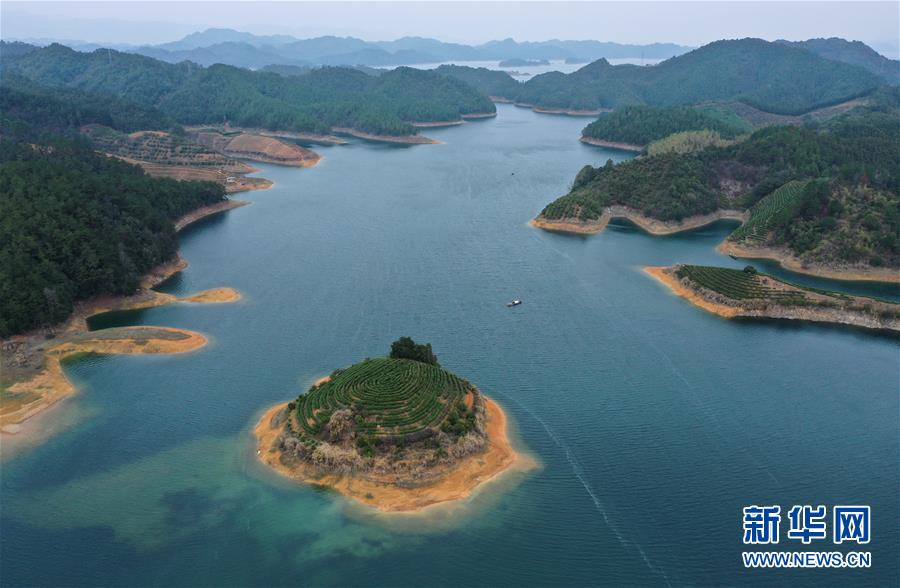 （春季美丽生态）（5）湖上茶园