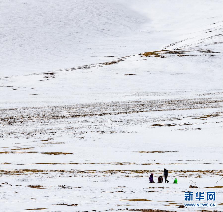 （新华视界）（2）藏北雪景