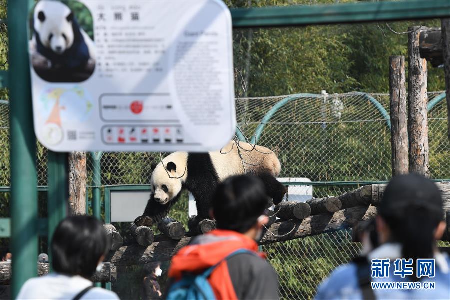 （社会）（3）北京动物园恢复开园