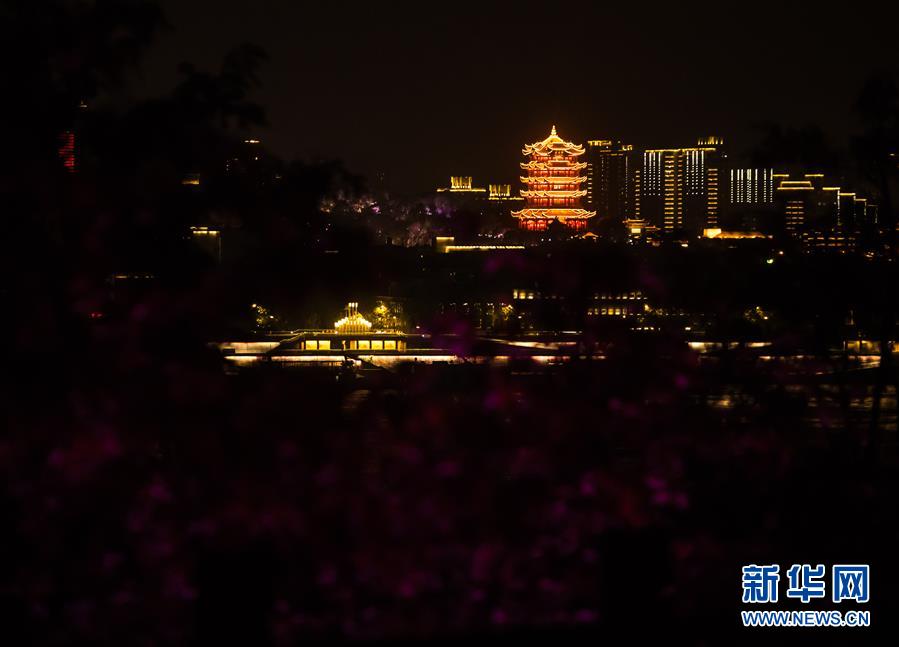 （聚焦疫情防控）（2）黄鹤楼夜景