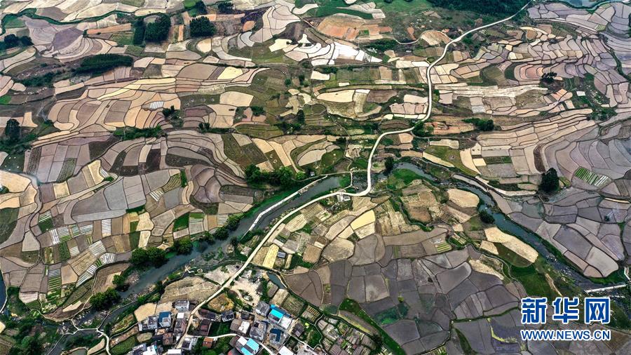 （环境）（5）飞阅桂北春日田园