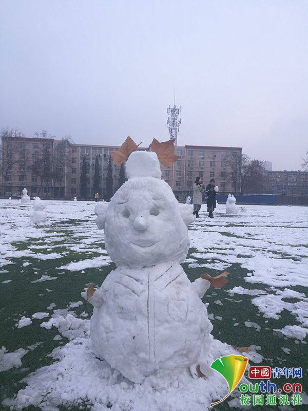 白衣天使雪人图片图片