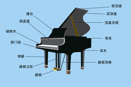 钢琴里包含的杠杆原理